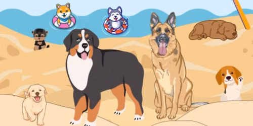 Dog days of summer