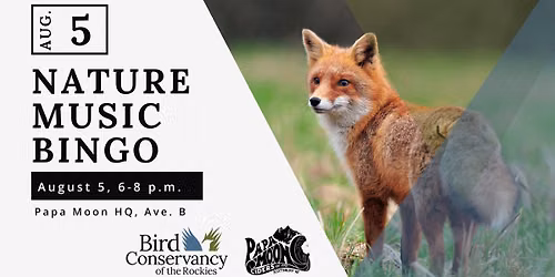 Nature Music Bingo