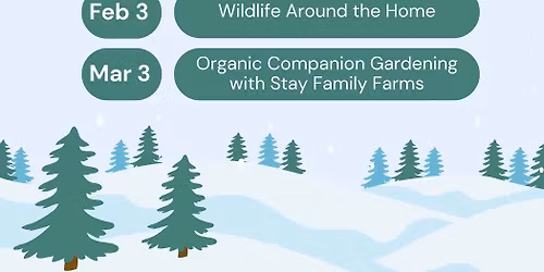 Organic Companion Gardening With Stay Family Farms