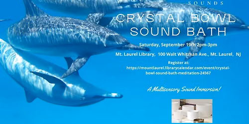 FREE Dolphin Sounds Of The Ocean Crystal Bowl Sound Bath - A Multi-Sensory Immersion