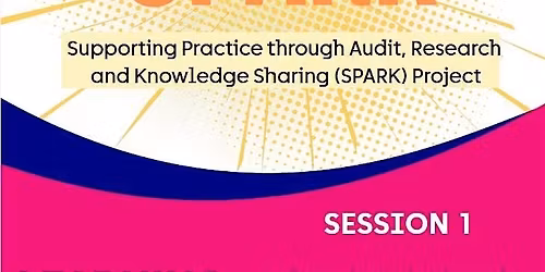 SPARK: Audit, Service Evaluation and Quality Improvement
