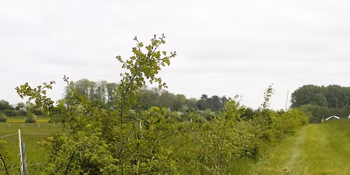 Chantier pariticipatif : Plantation de haies