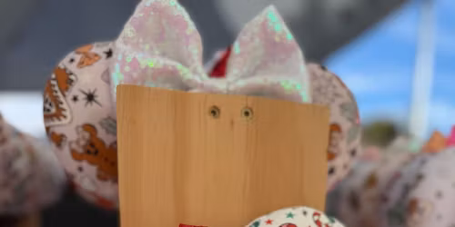 Chloe & Belle @ Smithfield High School Holiday Fair!