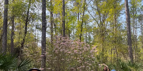 Gourd Island Conservation Area field trip with Beluthahatchee Chapter