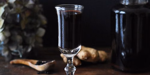 Elderberry Syrup Making Workshop