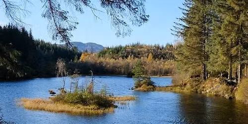 Loch Ard Forest