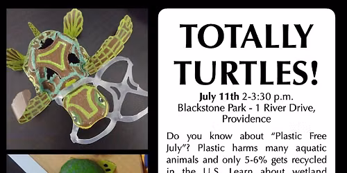 Totally Turtles