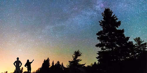 Stargazing Safari
