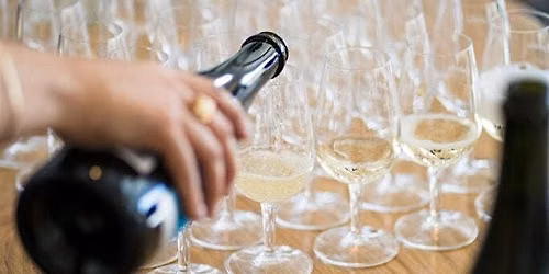 English Sparkling Wine Tasting - Albourne Estate
