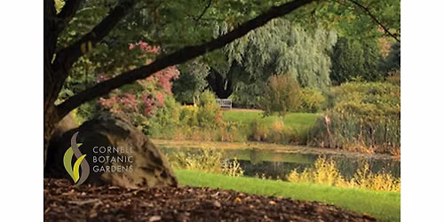 Get to Know the Arboretum: Experience Life on the Edge
