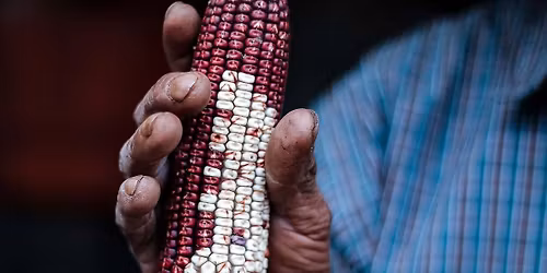 CELEBRATING HISPANIC CULTURE IN APPALACHIA