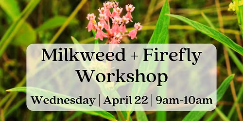 Milkweed + Firefly Workshop