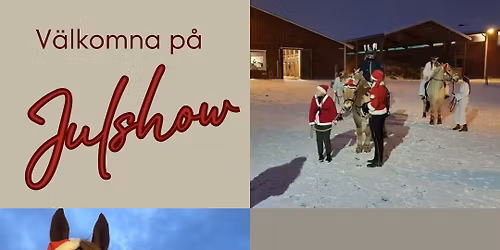 Julshow hos Skövde Ryttarförening 