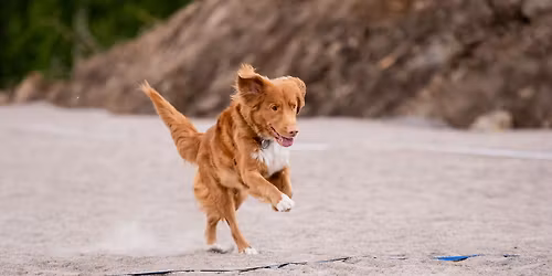 VAU:n tokokoe 30.5.2026 Lahti