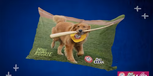Batdog Rookie Pillowcase + $1 Hot Dogs