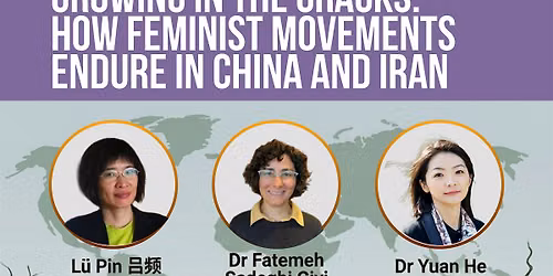 Growing in the Cracks: How Feminist Movements Endure in China and Iran