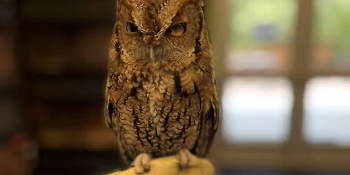 Story time in the Wildlife Room