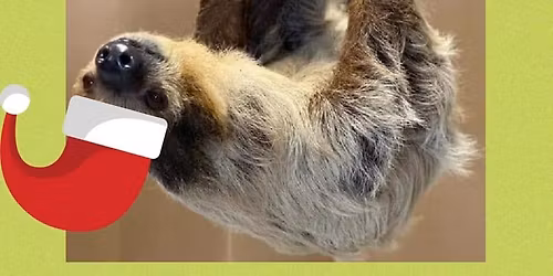 Painting with Santa, Sloth, & Friends