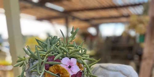 Paint a Planter Workshop