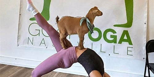 Goat Yoga Nashville- Awesome August