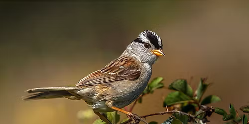 Clinton Lake Dam and Model Airplane Field Trip