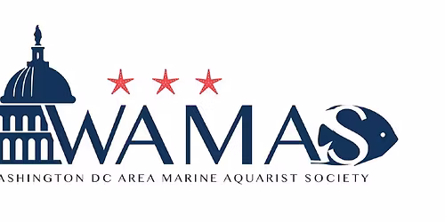 Reefing USA Fall Coral Show - DC Area