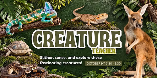 \ud83e\udd98\ud83d\udc22 Creatures at the Creek \ud83d\udc0d\ud83e\udd8e