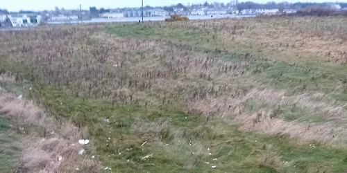 Bull Island Action Group - Monthly Clean-up