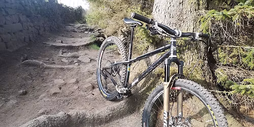 Owners and Friends New Year Ride