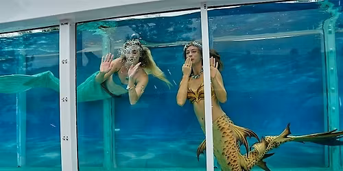 The Spectacular Mermaid Aquarium Show - Experience the Magic Live!