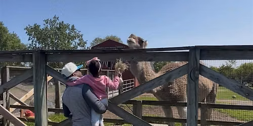 Lambs Farm Family Day