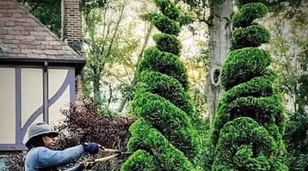 Where Creativity Grows: The Topiary Experience with Michael Gibson