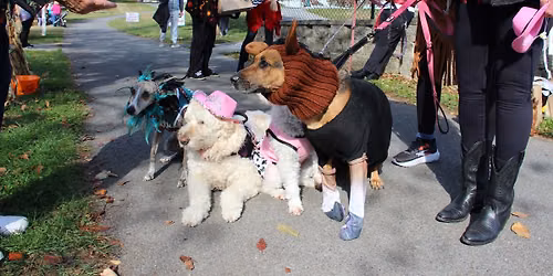 14th Annual Howl-O-Ween Dog Costume Parade