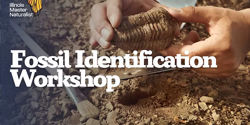 Fossil Identification Workshop