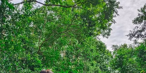 ঈদের ছুটিতে শ্রীমঙ্গল ১,৫৫০/-টাকায় ডে-ট্যুর ভ্রমণ ঈদের দ্বিতীয় দিন রাতের রওনা — সিলেট শ্রীমঙ্গল