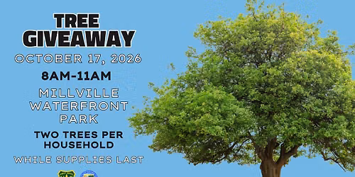 Tree Giveaway
