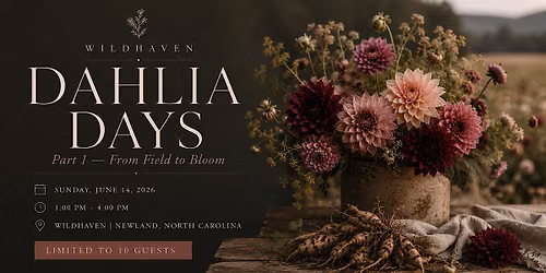 Dahlia Days at Wildhaven | Part 1: From Field to Bloom