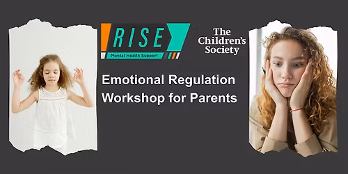 Emotional Regulation Workshop