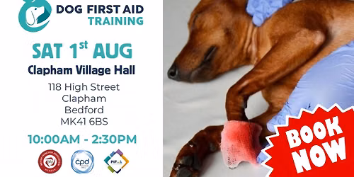 Clapham - Bedford Dog First Aid Training \ud83d\udc3e\u2764\ufe0f\u200d\ud83e\ude79