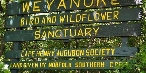 Weyanoke Monthly Nature Walk