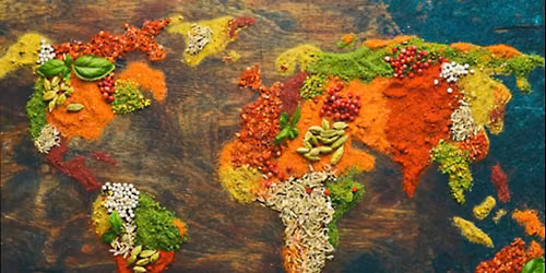 Globe Trekker Cooking Camp | Kids 10+ | July 27-31