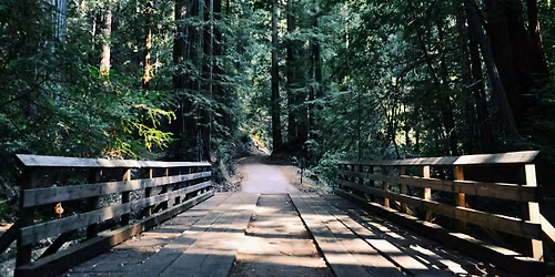 Capilano Canyon Hike