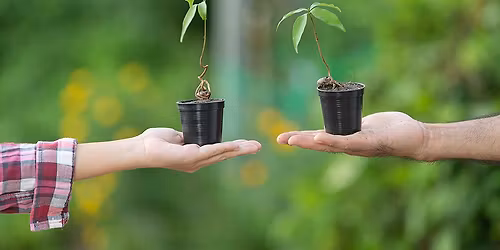 Plant Swap at Highland