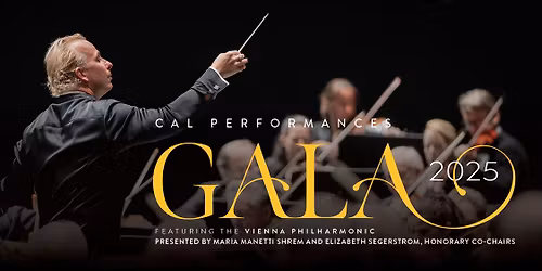 Vienna Philharmonic Orchestra at Carnegie Hall - Isaac Stern Auditorium