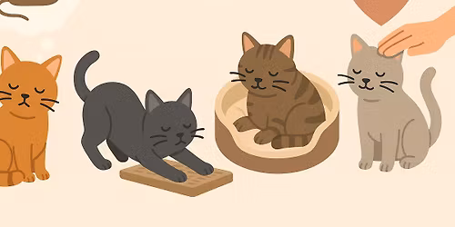 Conf\u00e9rence - Psychologie et les besoins primaires du chat