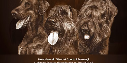 Klubowa Wystawa Sznaucer\u00f3w, Pinczer\u00f3w i Czarnego Teriera Rosyjskiego
