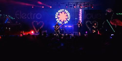 ISLE OF WIGHT FESTIVAL