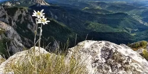 Serile Mun\u021bomanului in cRai!  