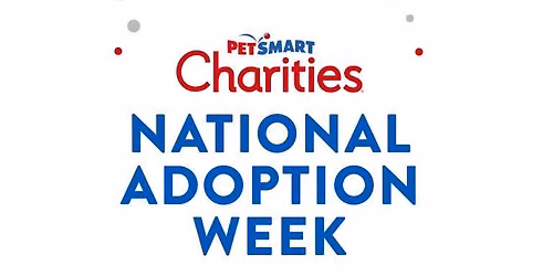 \ud83d\udc15 \ud83d\udc3eNational Adoption Week! \ud83d\udc3e\ud83d\udc08