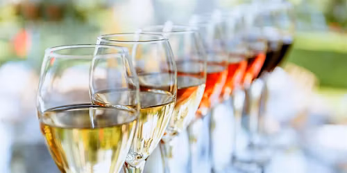 Summer Wines 101 with Capichera